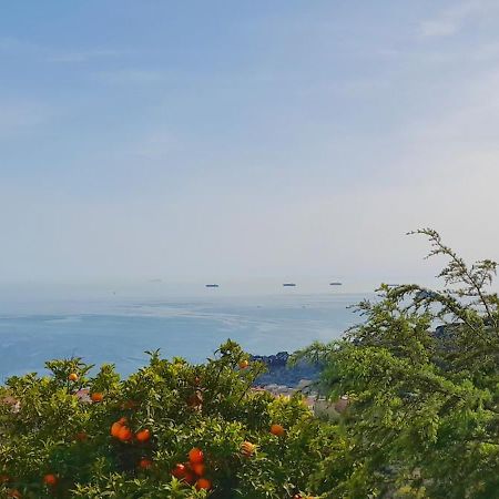 Ai Canarbin - Colline Di Lerici Luaran gambar