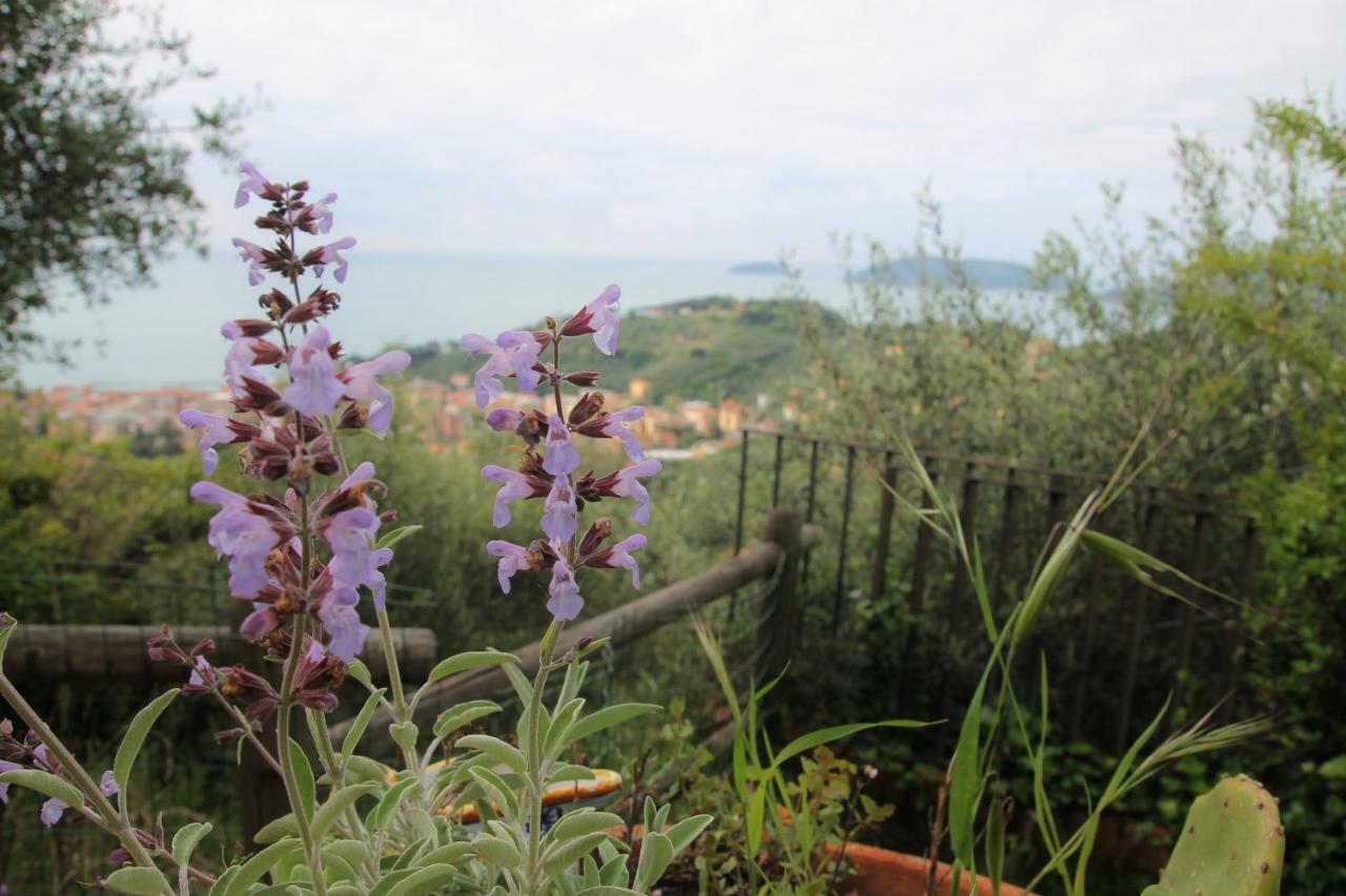 Ai Canarbin - Colline Di Lerici Luaran gambar